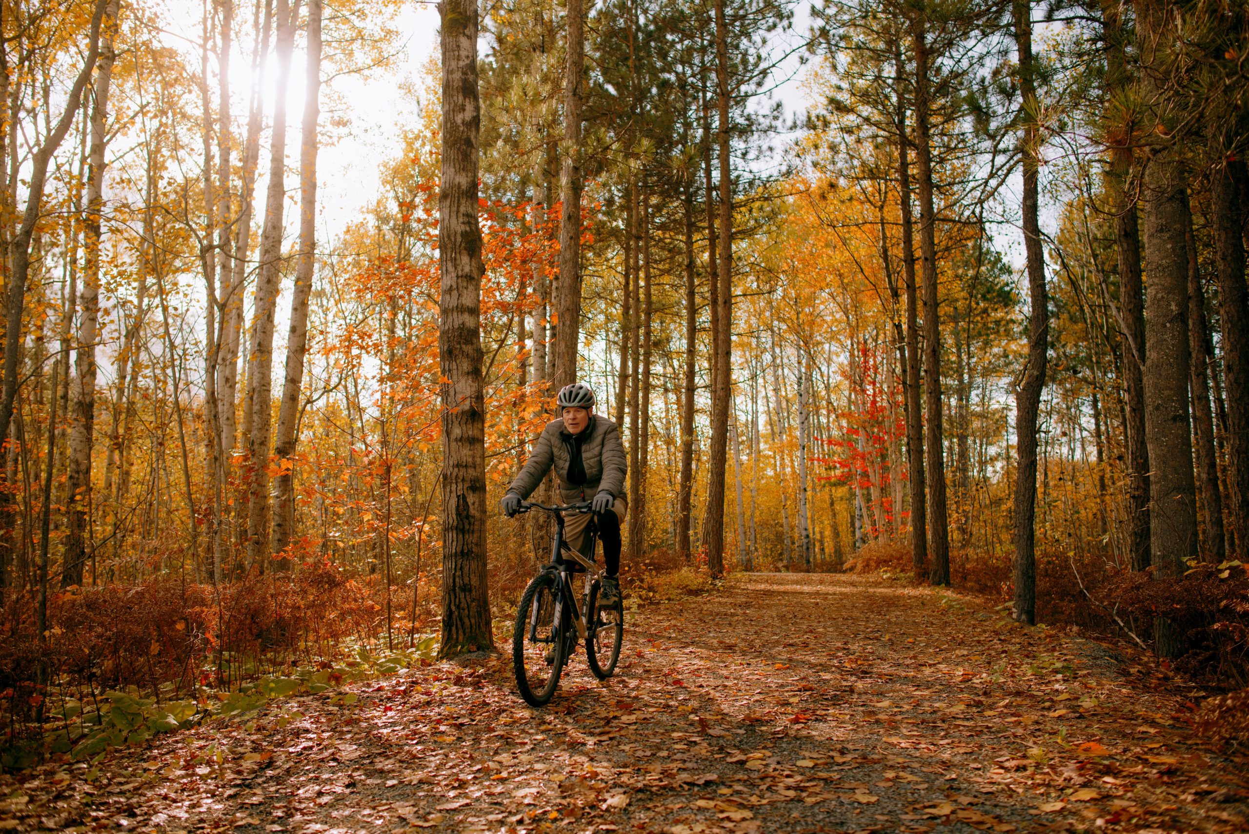 Photo of man biking in the woods